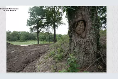 Lot 6 Cattle Trail, Kempner, TX 76539 - Photo 13