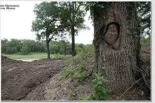 Lot 6 Cattle Trail, Kempner, TX 76539 - Photo 13