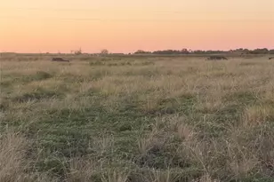200 Tigerlily Wy, Thrall, TX 76578 - Photo 1
