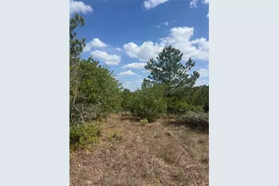 Tbd Lakewood Drive, Bastrop, TX 78602 - Photo 5