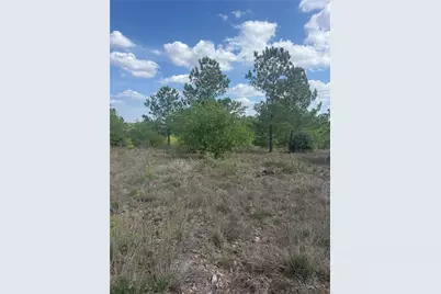 Tbd Lakewood Drive, Bastrop, TX 78602 - Photo 1