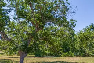 8 E Hampton Dr, Seguin, TX 78155 - Photo 3