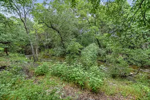 8349 Alvin High Ln, Austin, TX 78729 - Photo 19