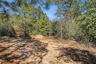 201 Winfield Thicket Rd, Bastrop, TX 78602 - Photo 31