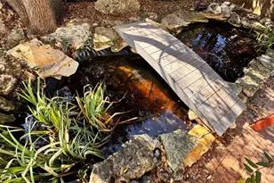 9402 Bluegrass Dr, Austin, TX 78759 - Photo 29