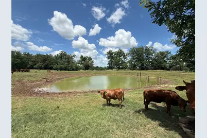 314 Fm 2571, Smithville, TX 78957 - Photo 5