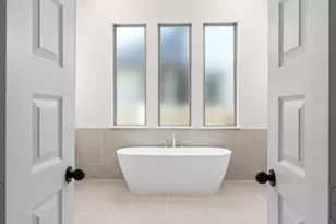 213 Crownbeard St, Georgetown, TX 78633 - Photo 11