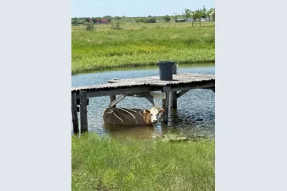 16117 Bobby Road, Manor, TX 78653 - Photo 33