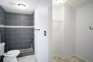 245 Peppergrass Cove, Kyle, TX 78640 - Photo 11