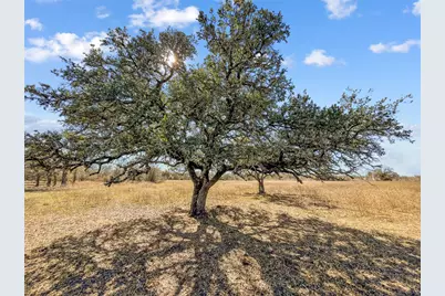 2494 County Road 118, Giddings, TX 78942 - Photo 5