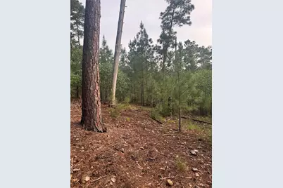 Lot 1492 Haleakala, Bastrop, TX 78602 - Photo 5