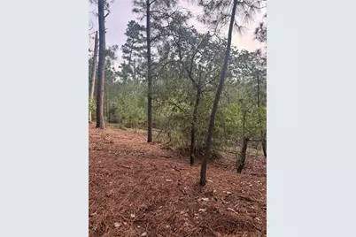 Lot 1492 Haleakala, Bastrop, TX 78602 - Photo 3