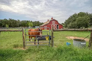 777 Cardinal Dr, Paige, TX 78659 - Photo 29