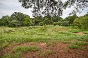 777 Cardinal Dr, Paige, TX 78659 - Photo 37