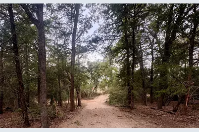 12 Acres Mt. Pleasant, Cedar Creek, TX 78612 - Photo 9