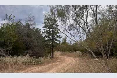 12 Acres Mt. Pleasant, Cedar Creek, TX 78612 - Photo 5