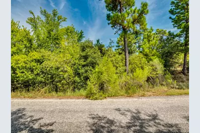 00 Makaha Drive, Bastrop, TX 78602 - Photo 5