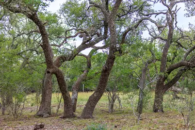 456 Colt Valley Road, Fredericksburg, TX 78624 - Photo 37