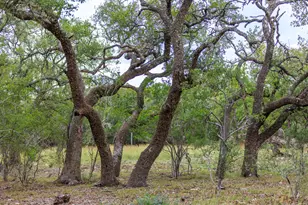 456 Colt Vly Rd, Fredericksburg, TX 78624 - Photo 37