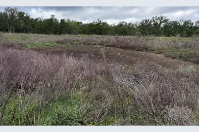 615 County Road 467, Thrall, TX 76578 - Photo 27