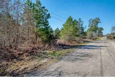 Tbd Cardinal Loop Loop, Paige, TX 78659 - Photo 3