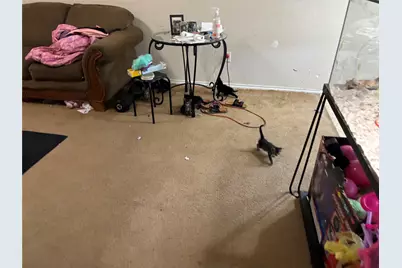 232 Corn Hill Drive, Jarrell, TX 76537 - Photo 19