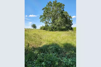 Lot-2 Fm 2336, Bastrop, TX 78602 - Photo 3