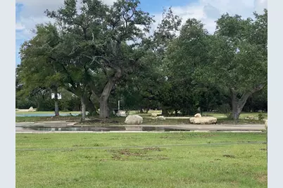 1749 Yaupon Grove Lane, Leander, TX 78641 - Photo 29