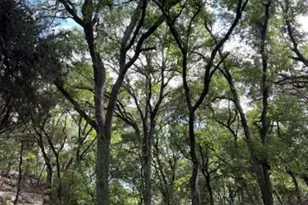 815 Riva Ridge Dr, Leander, TX 78641 - Photo 13