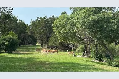 815 Riva Ridge Drive, Leander, TX 78641 - Photo 11