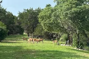 815 Riva Ridge Dr, Leander, TX 78641 - Photo 11