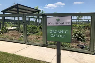 9801 Petrichor Blvd, Manor, TX 78653 - Photo 33