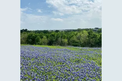 9801 Petrichor Boulevard, Manor, TX 78653 - Photo 37