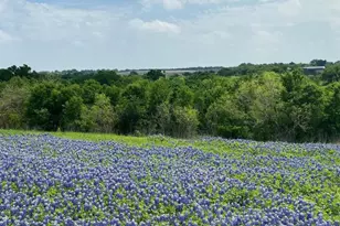 9801 Petrichor Blvd, Manor, TX 78653 - Photo 37