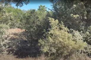 500 Hidden Mesa, Leander, TX 78641 - Photo 3