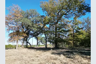 205 Serenity Drive, Liberty Hill, TX 78642 - Photo 3