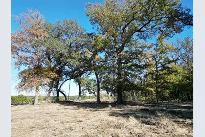 205 Serenity Drive, Liberty Hill, TX 78642 - Photo 3