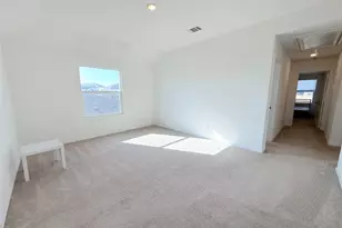 224 Canley Loop, Hutto, TX 78634 - Photo 19