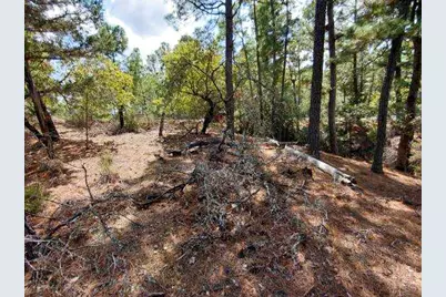 Lot 6 & 7 Wahane Lane, Bastrop, TX 78602 - Photo 5