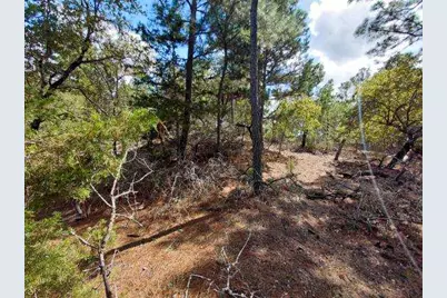 Lot 6 & 7 Wahane Lane, Bastrop, TX 78602 - Photo 9