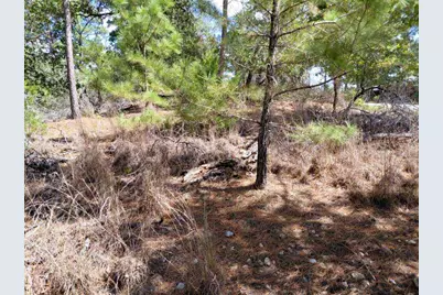 Lot 6 & 7 Wahane Lane, Bastrop, TX 78602 - Photo 7