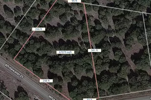190 Whitewater Dr, Bertram, TX 78605 - Photo 1