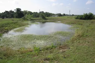 1602 Co Rd 470, Coupland, TX 78615 - Photo 1