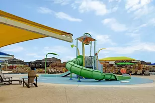 392 Algaroba Loop, Buda, TX 78610 - Photo 39