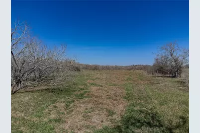 Tbd Nikel-Mica Road, Flatonia, TX 78941 - Photo 13