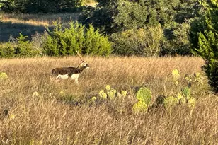 769 Three Creeks Dr, Bertram, TX 78605 - Photo 23