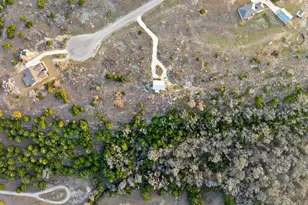 769 Three Creeks Dr, Bertram, TX 78605 - Photo 21