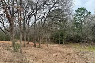 Lot 8 and 9 Meadow Creek Dr, Bastrop, TX 78602 - Photo 1