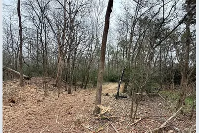 Lot 8 and 9 Meadow Creek Drive, Bastrop, TX 78602 - Photo 7