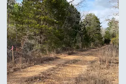 Tbd Pine Street, Paige, TX 78659 - Photo 3